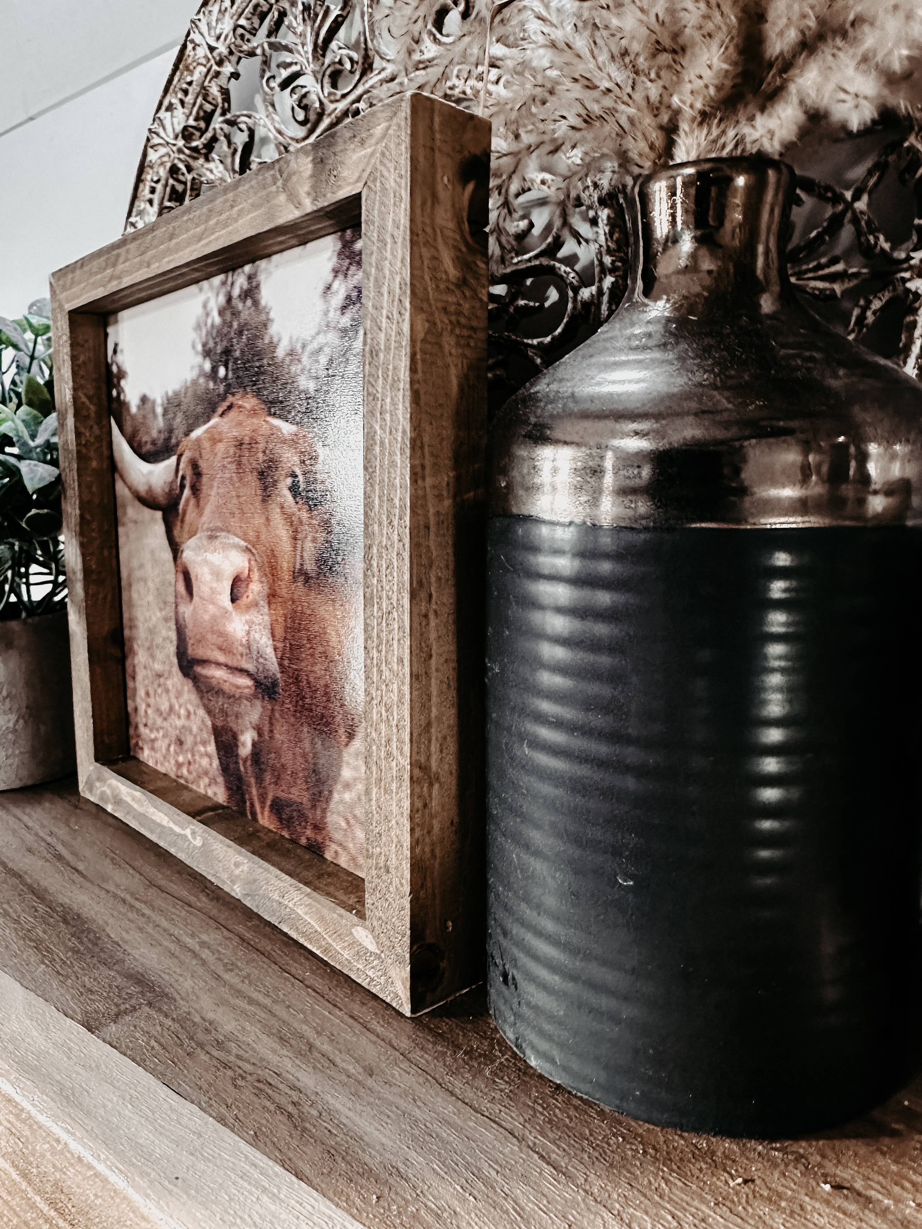 The Broken Board – wholesale Fotografi – Longhornko pussar6