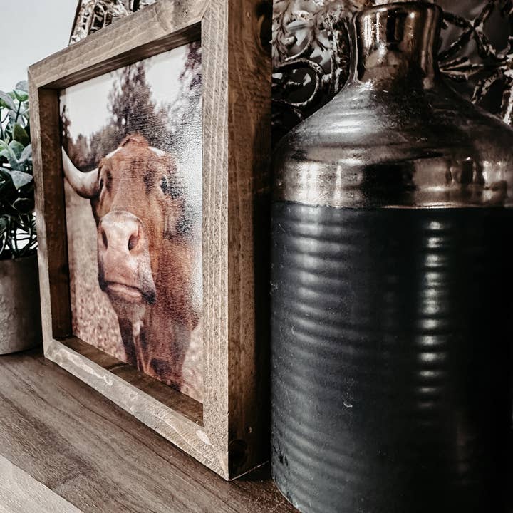 The Broken Board – wholesale Fotografi – Longhornko pussar6