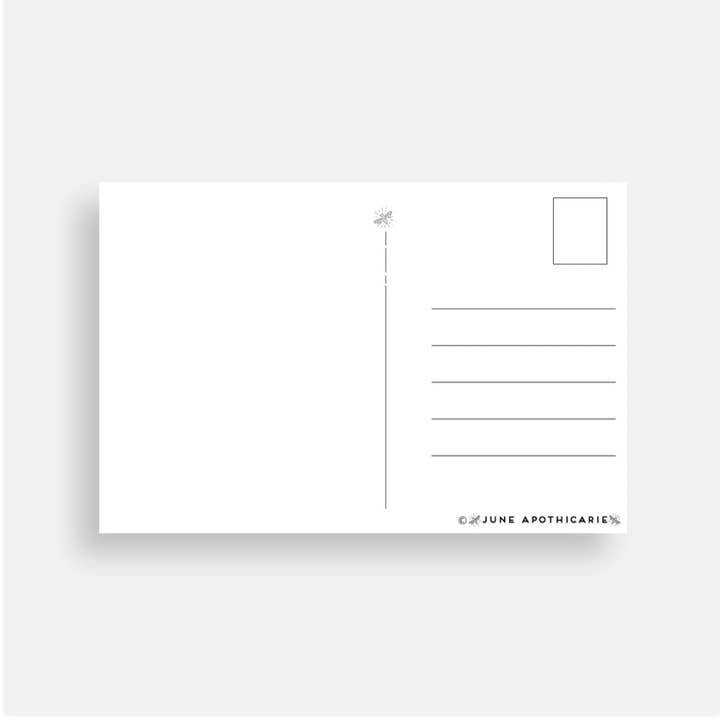 June Apothicarie – Engroshandel Postkort – „Hilsner fra Michigan“ Petoskey Stone Postkort1