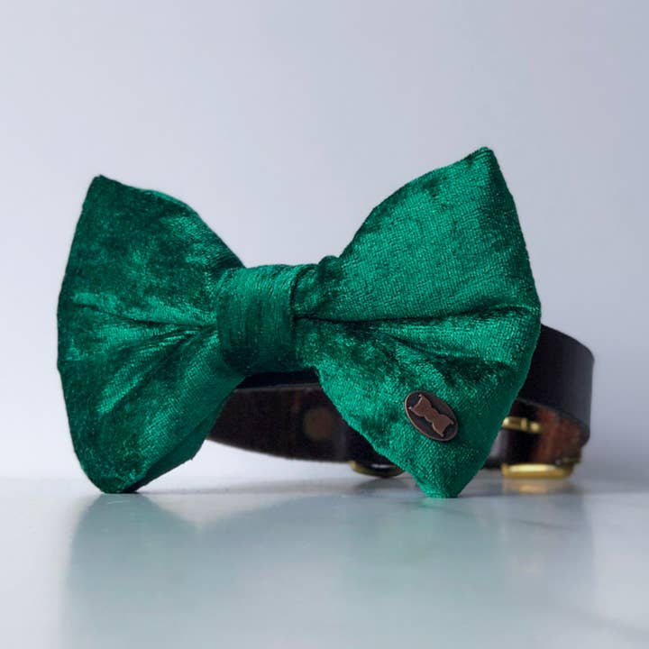 Gravata borboleta graciosa de veludo verde por atacado de The Distinguished Dog Company Ltd