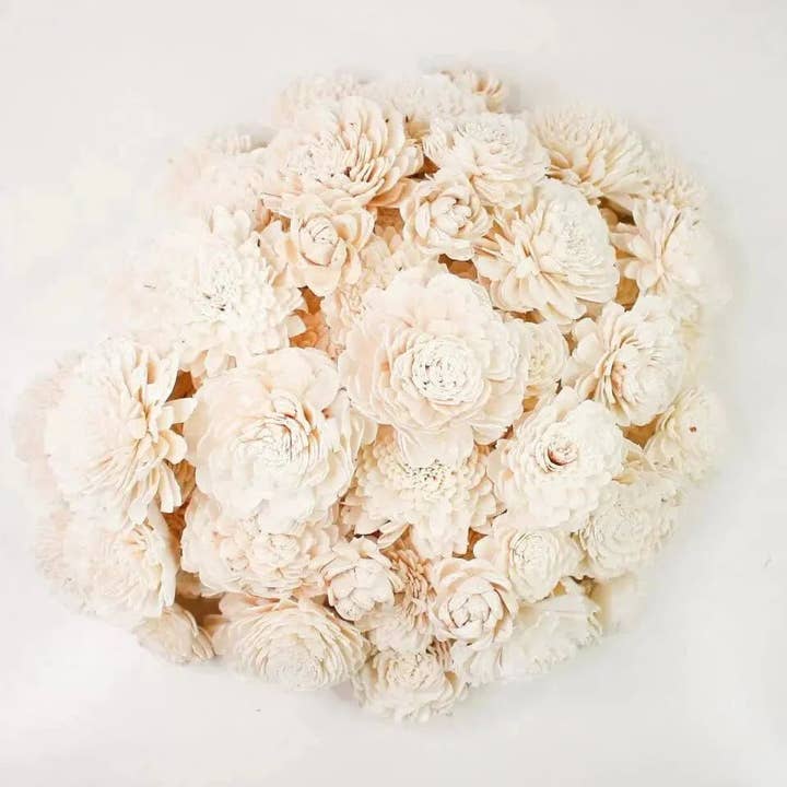 Sola Wood Flowers - Wholesale Artificial Flowers - 100 Random Assortment (No Bark)