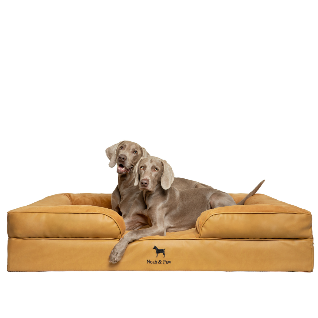 NOAH AND PAW LLC – Großhandel Haustierbett – Katze/Hund – Orthopädisches Hundebett im Sofastil aus Kunstleder mit Memory-Schaum und kühlendem Gel9