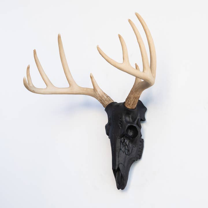 Near and Deer - Wholesale Wall Accent - Faux Mini Buck Skull Wall Mount4