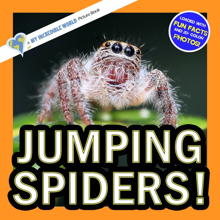 Jumping Spiders! A My Incredible World Picture Book for Children for wholesale by My Incredible World