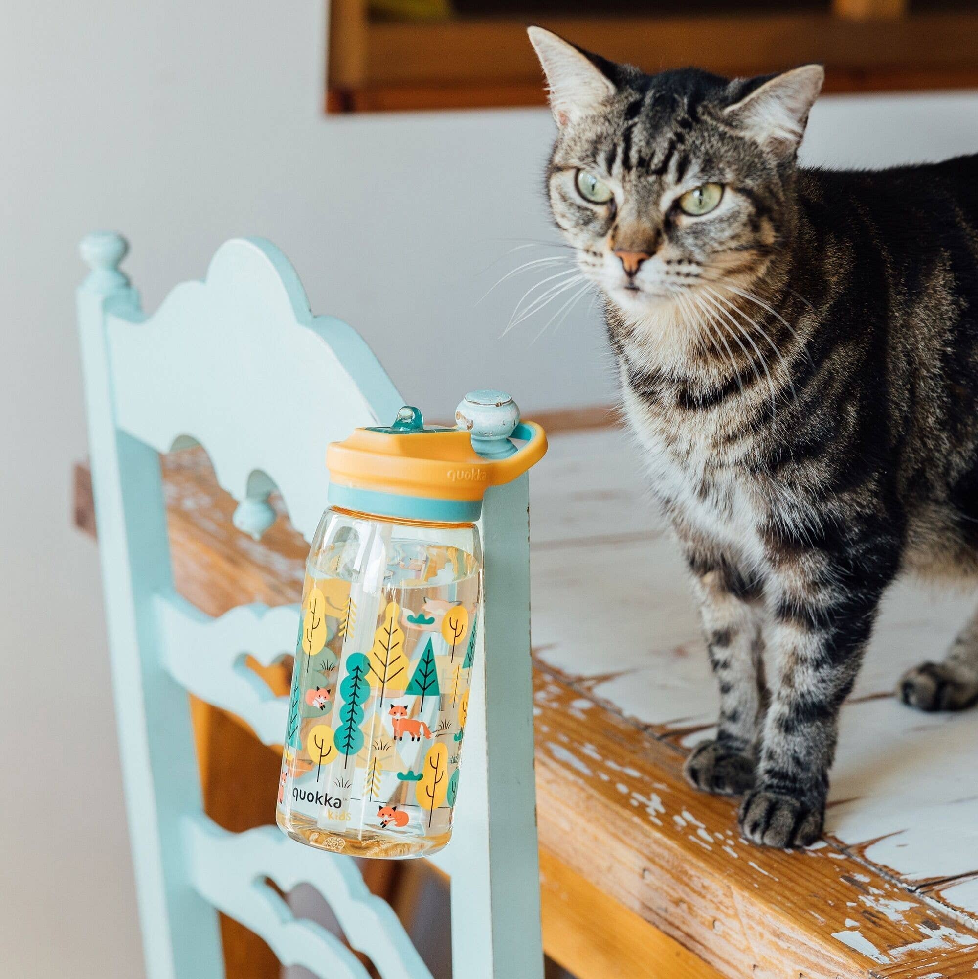 QUOKKA - Vendita all'ingrosso Borracce - QUOKKA KIDS BOTTIGLIA ECOZEN CON SIPPER GLOW FOREST 580 ML1