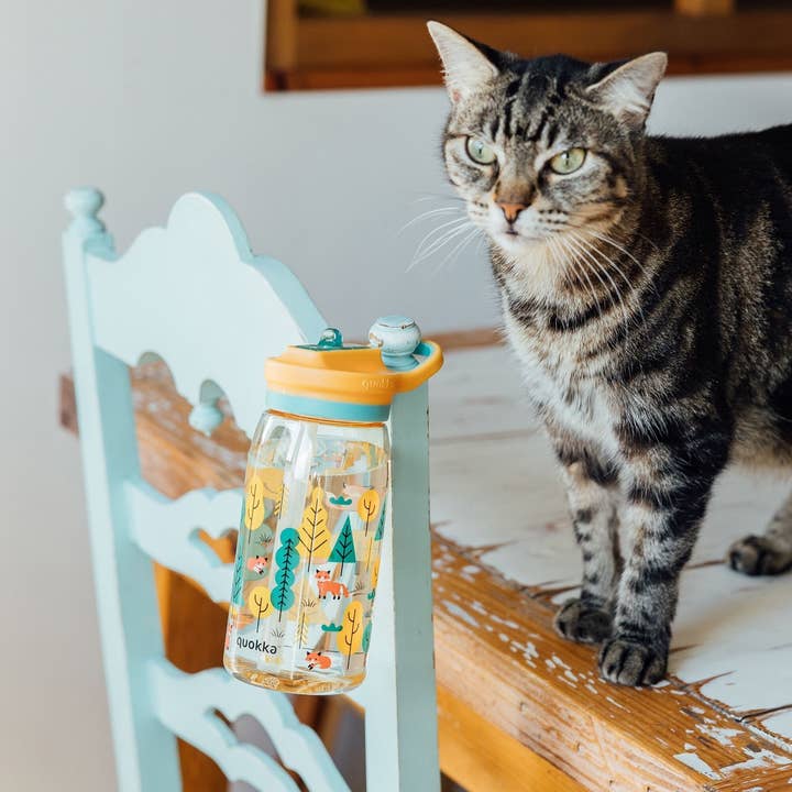 QUOKKA - Wholesale Water bottle - QUOKKA KIDS ECOZEN BOTTLE WITH SIPPER GLOW FOREST 580 ML1