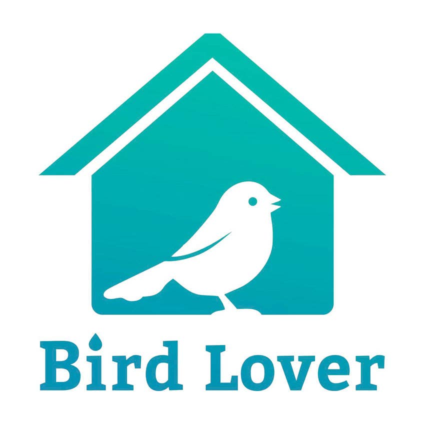 Croci - Wholesale Bird Feeder - Smart WiFi Bird Feeder with HD Camera5