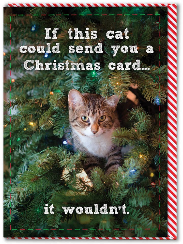 Funny Christmas Card - Cat Wouldn't Send Card Greetings Card for wholesale by Brainbox Candy