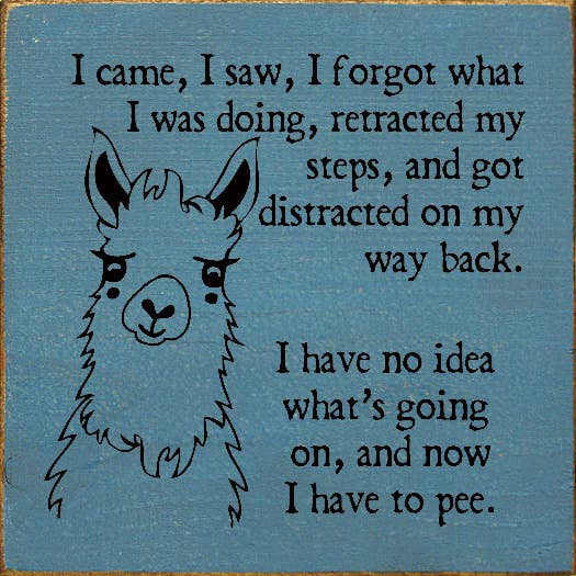 SAWDUST CITY - Wholesale Sign - I came, I saw, I forgot what I was doing, retracted my steps4