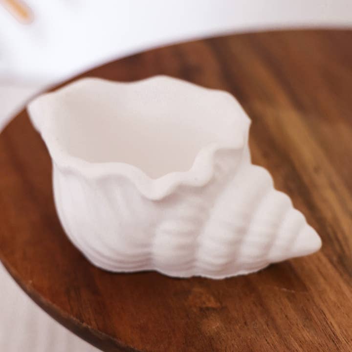 Niki Candle - Wholesale Sieradenschaaltje - schelp van gipsdecoratie0