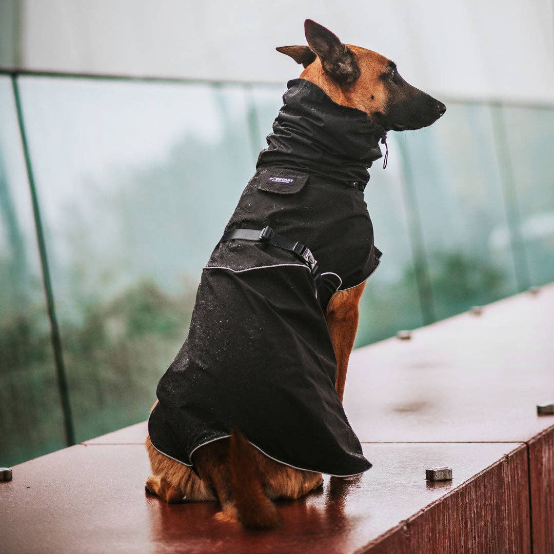 Stylish Hound - Wholesale Pet Raincoat - Dog - Black Raincoat5