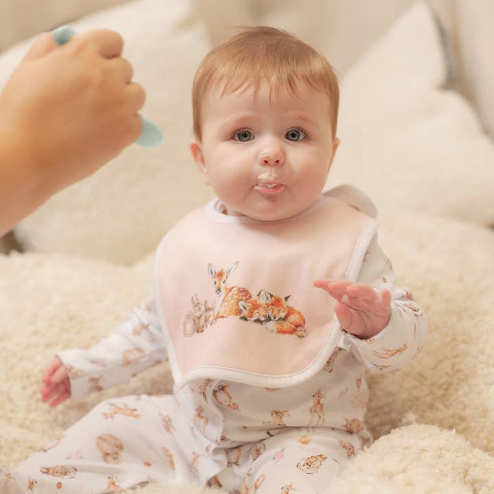 Wrendale Designs - Wholesale Bib - Baby - Little Wren Bib Gift Set - Little Forest1