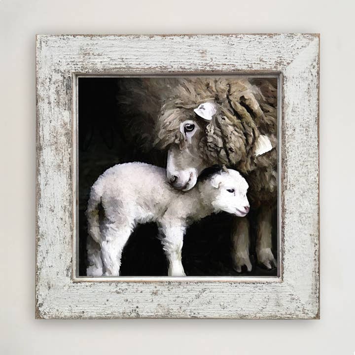 ginger blue - Wholesale Art Print - New born sheep7
