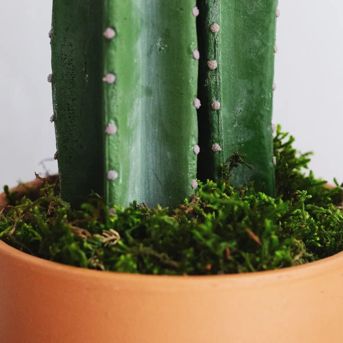 Maia Shop: No Duties for the US - Wholesale Artificial Plant - 2.5' Cactus Artificial Plant3