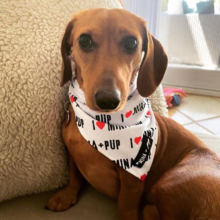 Mina + Pup - Wholesale Pet Bandana - Dog - I ❤️ MINA + PUP SPECIAL EDITION ANNIVERSARY COOLING BANDANA1