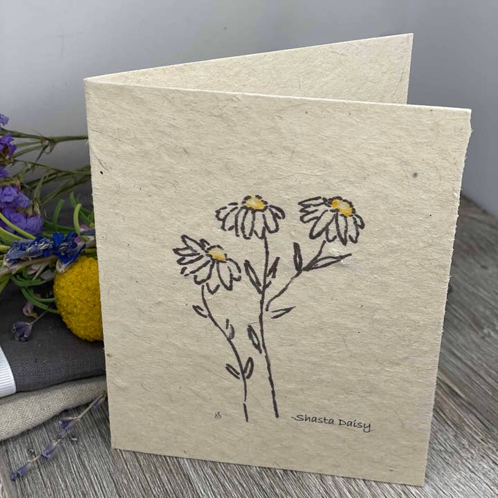 1 Simple Seed - Wholesale Everyday Greeting Card - Plantable Card | Daisies2