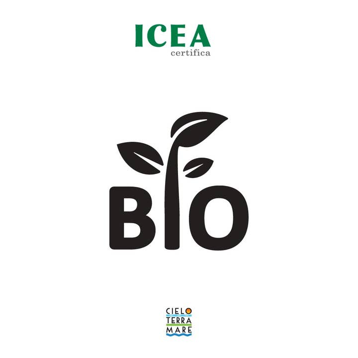 Azienda Agricola Cielo Terra Mare – Großhandel Pasta – BIO-Nudeln - ARDITA Calamarata-Nudeln