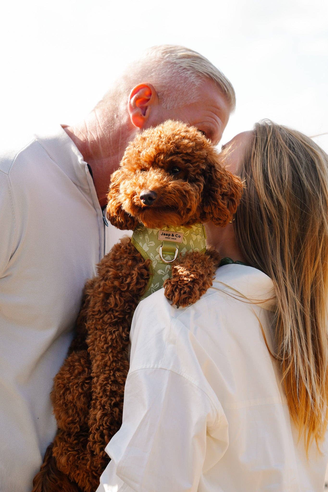 Jaap & Co - Woof Wear - Wholesale Pet Harness - Dog - Botanical Glow - Dog Harness5