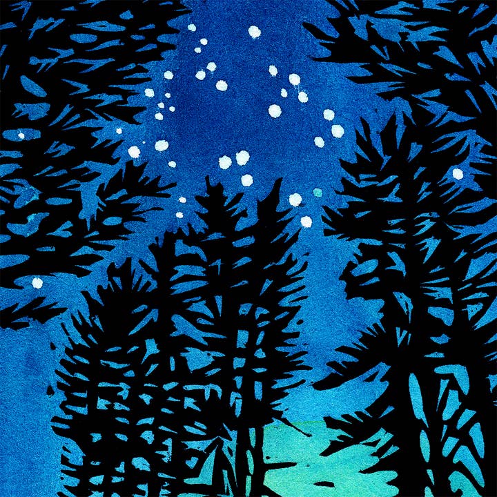 Claire Emery Art - Wholesale Everyday Greeting Card - Under the Starry Sky Card1