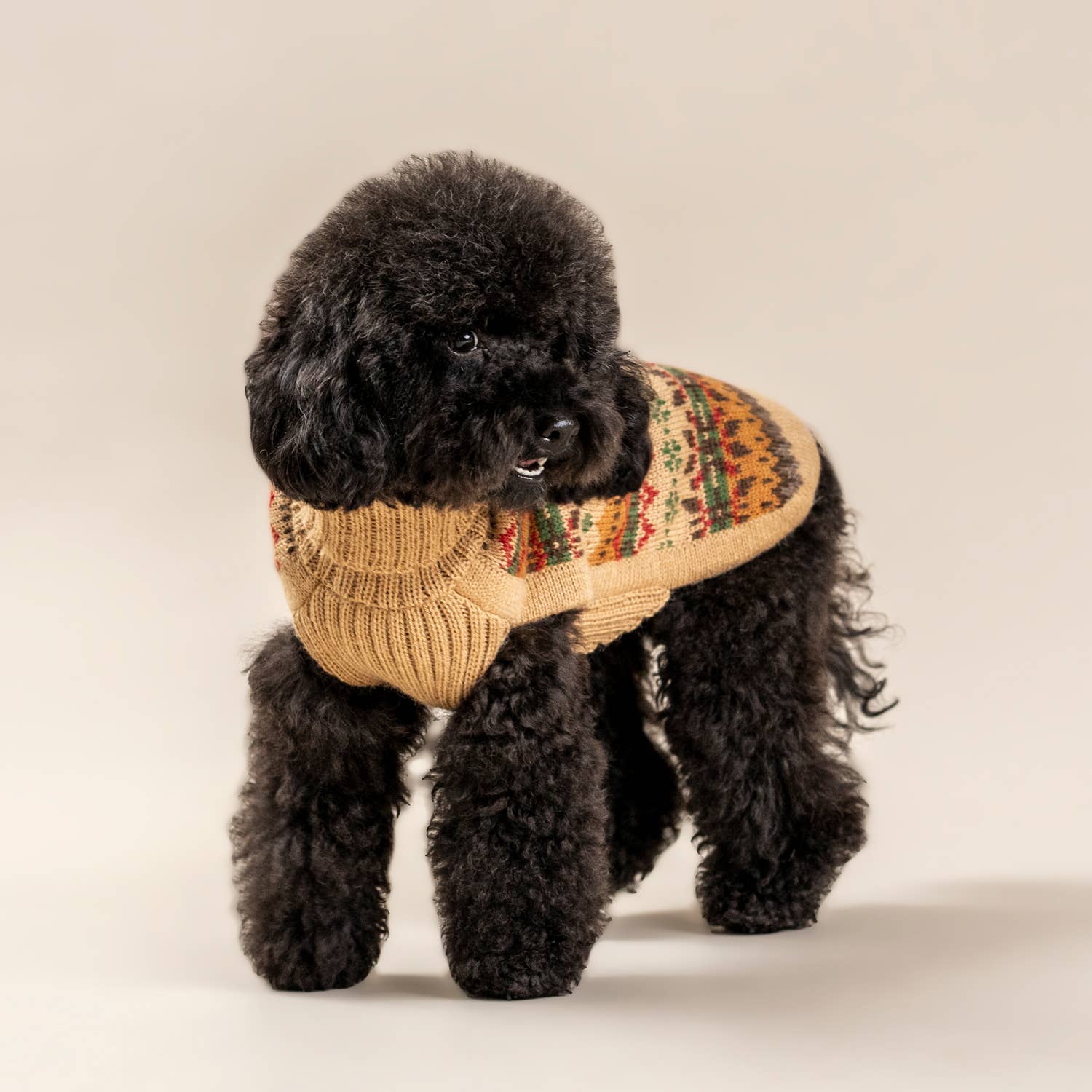 Alqo Wasi - Wholesale Pet Sweater - Dog - Fair Isle Finn Alpaca Dog Sweater4