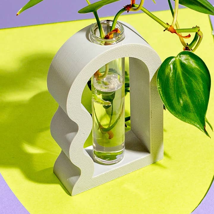 Bølget Bue Planteformeringsvase for engroshandel hos Squiggle Cutters