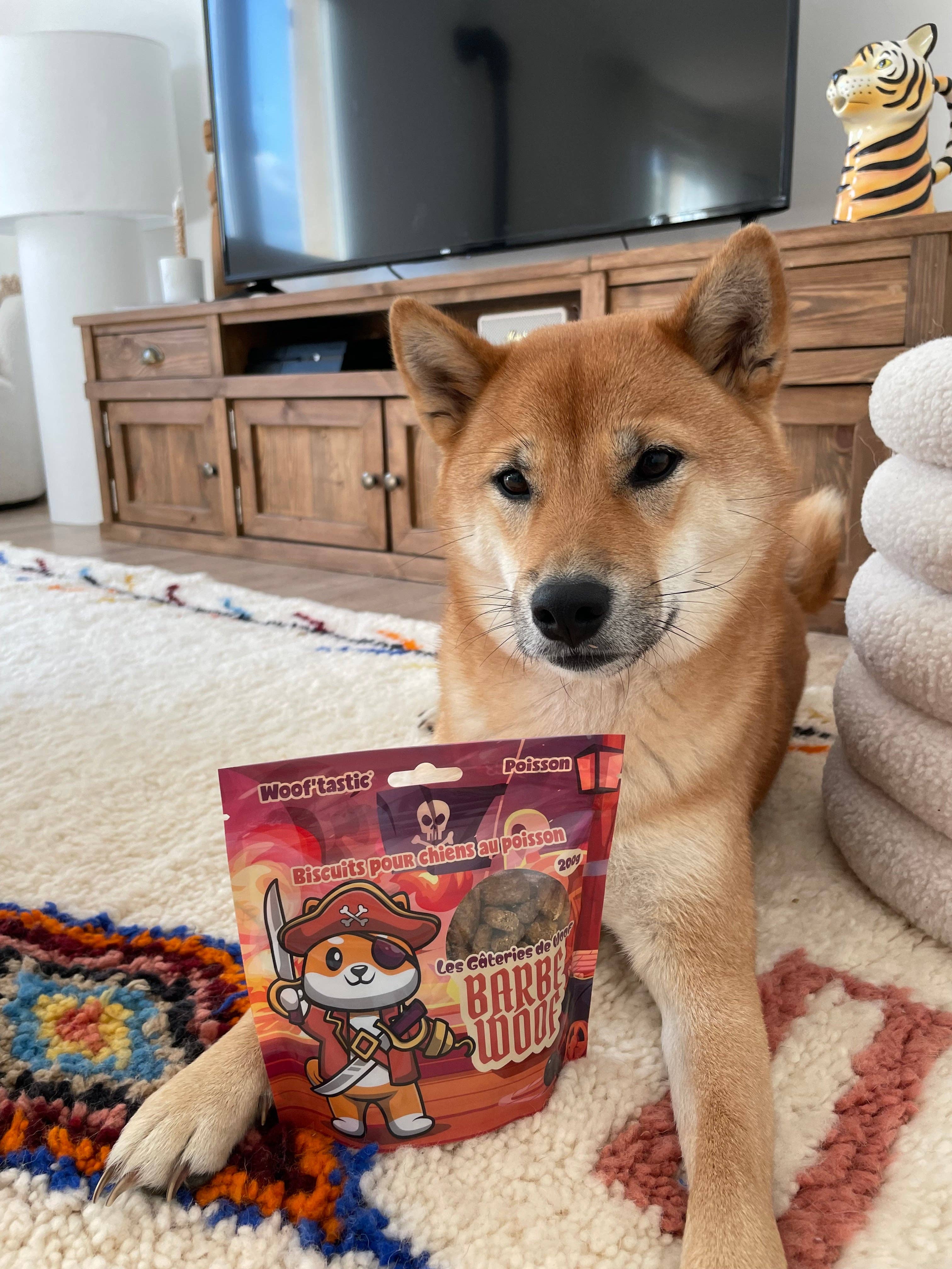 Woof’tastic – Engroshandel Godbid - Hund – Barbe Woof - sprøde fiskekiks til hunde1