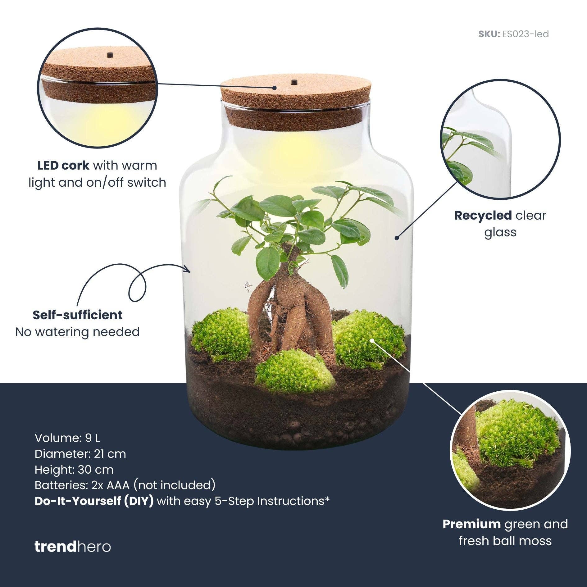 Trendhero.nl/b2b - Wholesale DIY Craft Kit - Milky Bonsai - Terrarium - Bottle garden DIY kit - Ø 21 cm ↑ 30 cm2