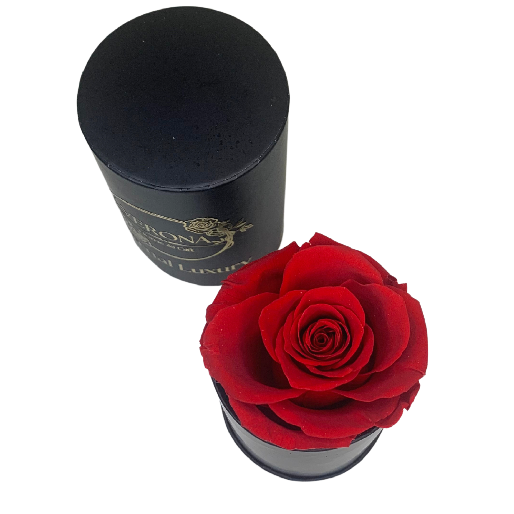 verona home and gift - Wholesale Dried/Pressed Flowers - Real Preserved Roses that Last Forever 28