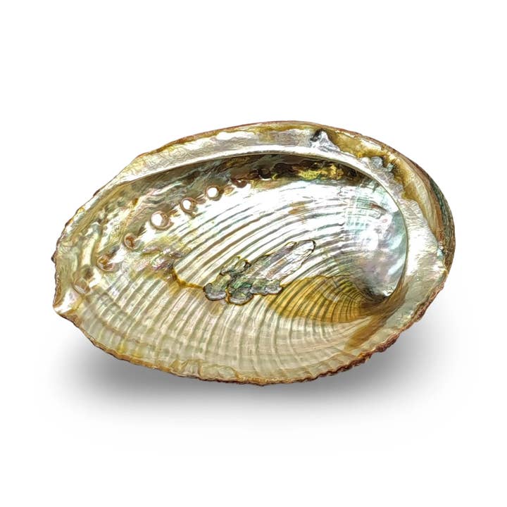 Arômes & Évasions – wholesale Smudge plate – Smudging - Abalone Shell