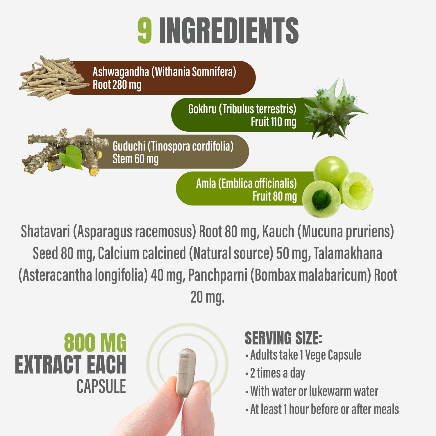 HerbsForever - Wholesale Voedingssupplement/vitamine - Mannelijke Veertig Plus Ayurvedisch Supplement 90 Capsules 800mg1