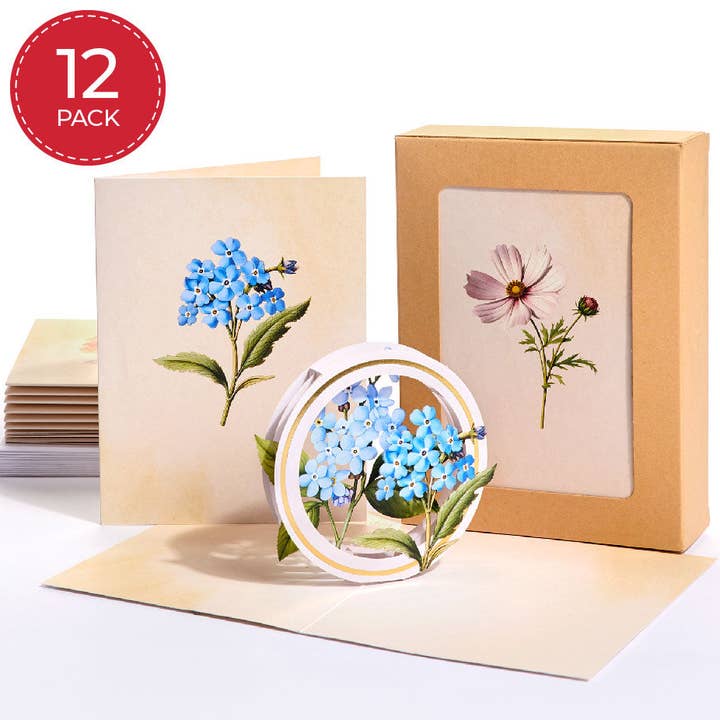 Beautiful Botanicals Box Set (Assorted 12-Pack) 4.5x5.9" for wholesale by Lovepop Cards