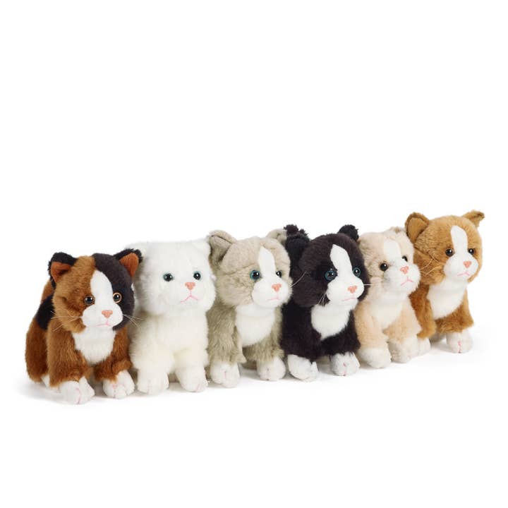 Keycraft - Wholesale Stuffed/Plush Toy - Kids & Baby - Living Nature Cat Small Plush Stuffed Animal Toy
