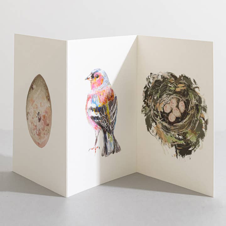 Carte concertina Chaffinch Bird Nature Lover pour la vente par Sara Sayer