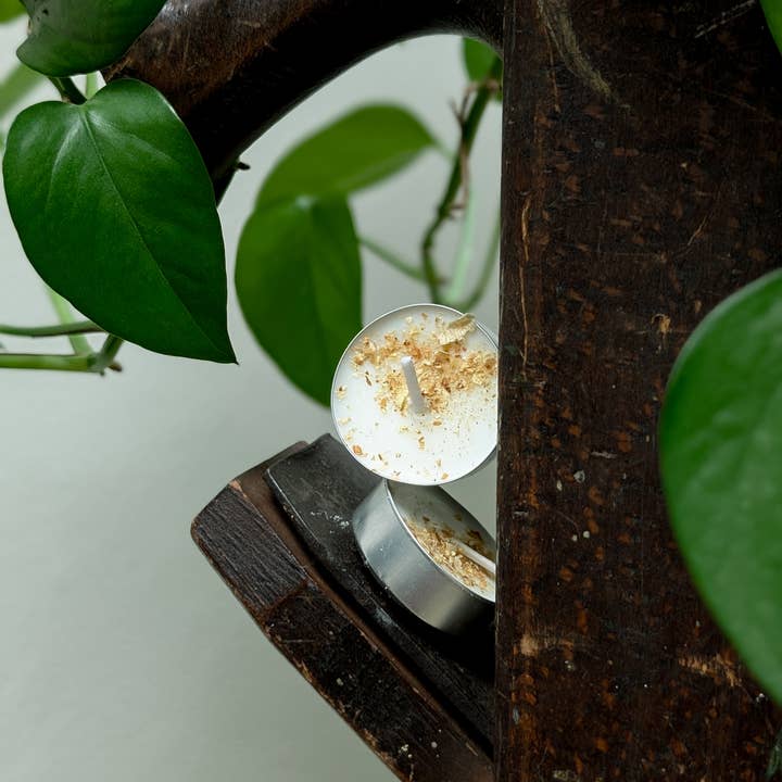 Banksia Botanicals - Wholesale Tea Light Candles - Vanilla Soy Wax Tea Lights1