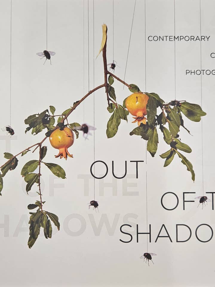 Ud af skyggerne: Moderne kinesisk fotografering for engroshandel hos Texas Bookman