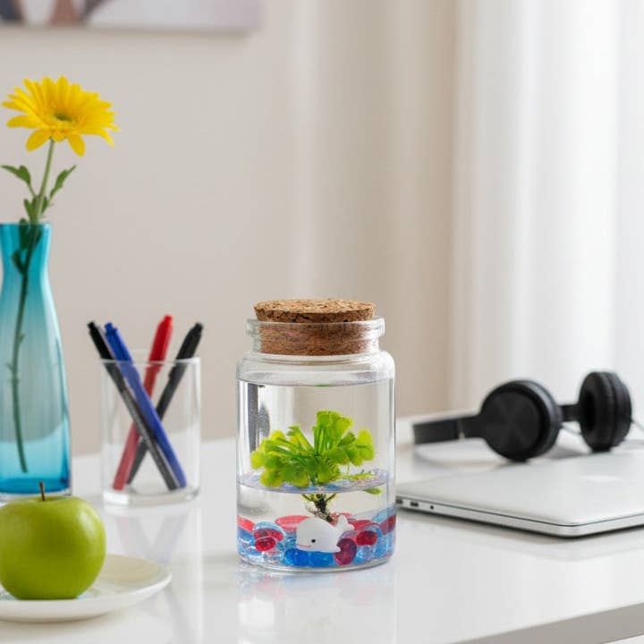 Spoon-leaved Sundew, Drosera Spatulata, Sticky Flypaper 2.0 for wholesale by bloomify