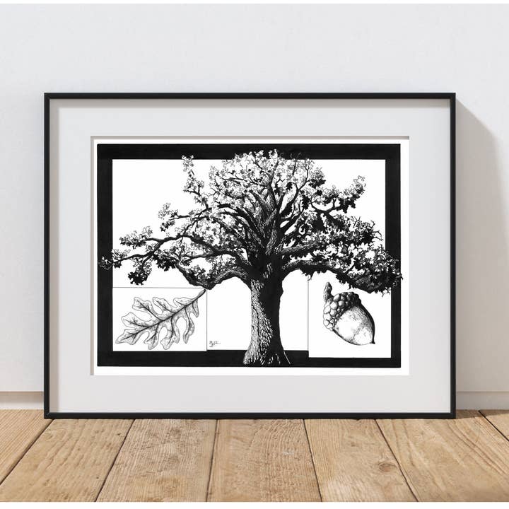 Handgezeichnete botanische Feder- und Tuschillustration aus weißer Eiche für den Großhandel von Tony Rubsam Illustrations