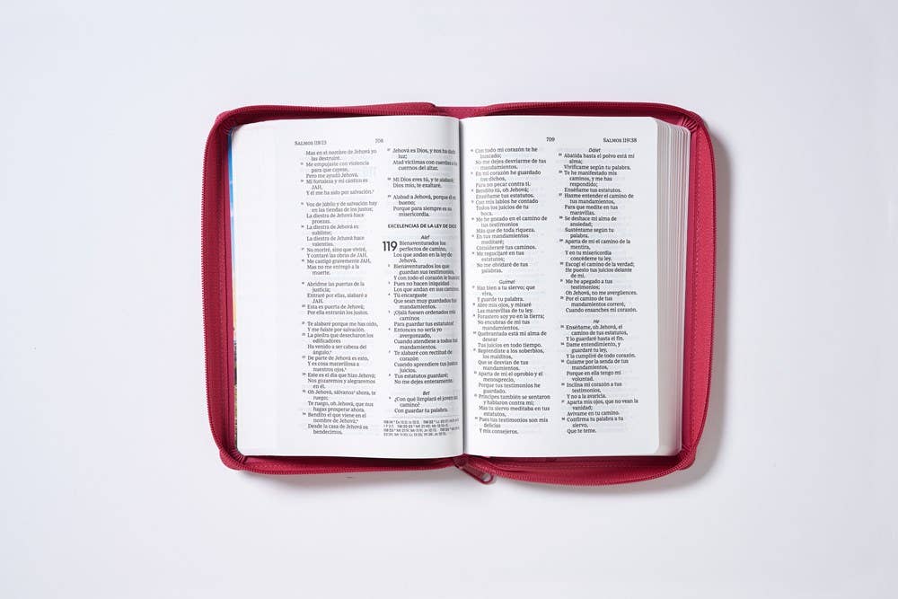 HarperCollins Christian Publishing - Wholesale Religion - RVR60, Santa Biblia, Tierra Santa, Ultrafina, Letra grande13