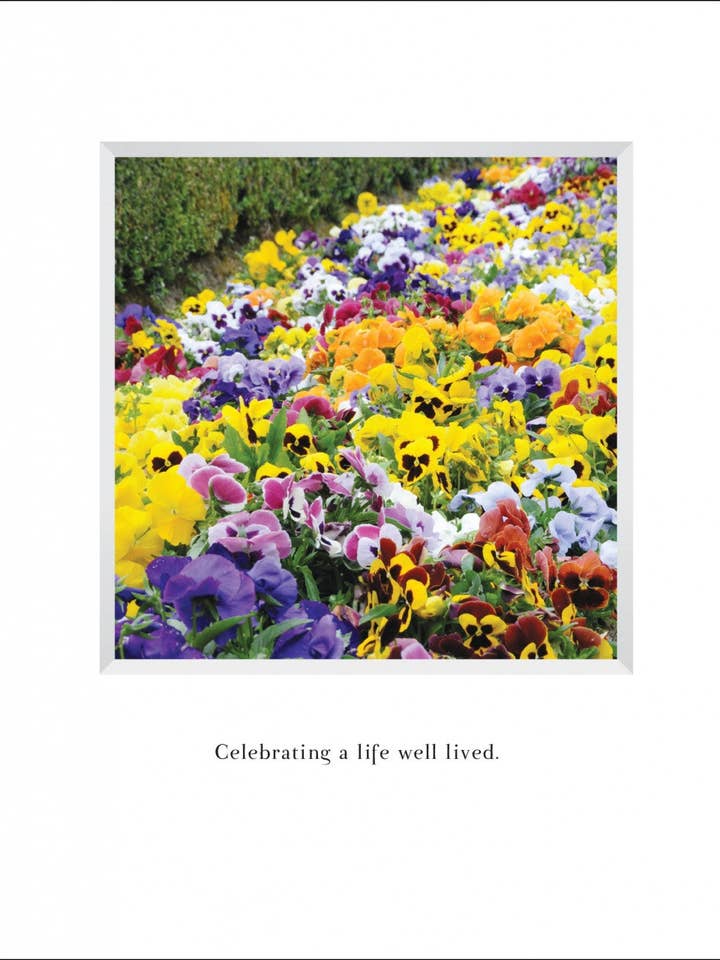 B574 - Morning Colors for wholesale by Stonehenge Designs