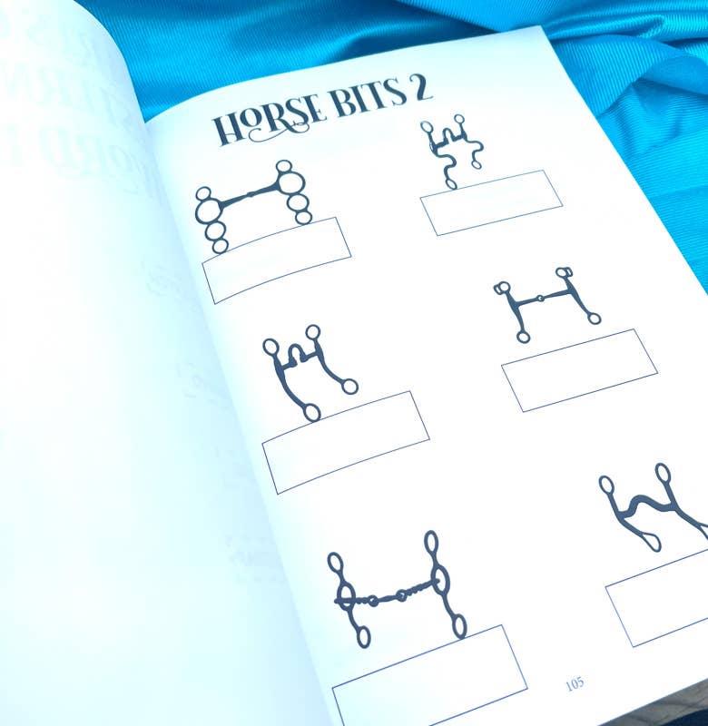 Circus Unicorn Shop - Wholesale Sports & Recreation Book - Western Riding Lessons & Activities15