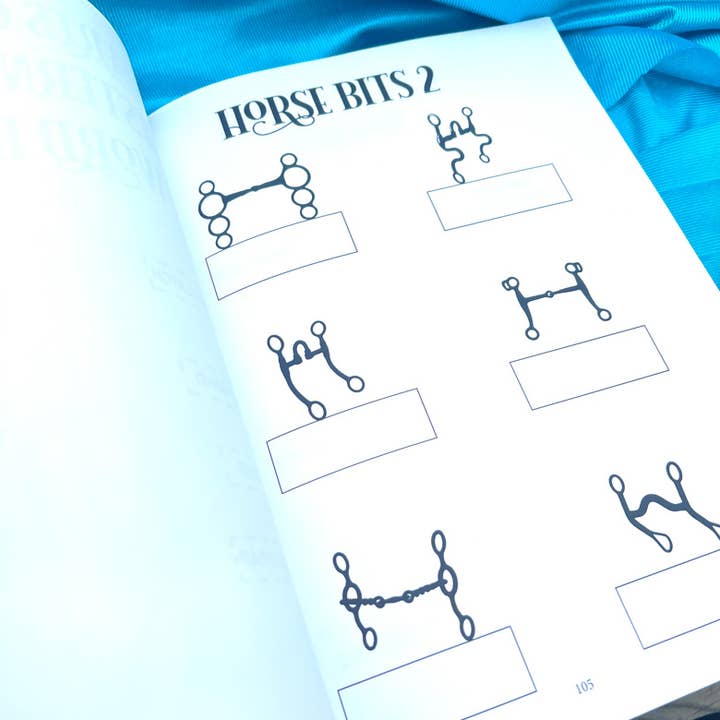 Circus Unicorn Shop - Wholesale Sports & Recreation Book - Western Riding Lessons & Activities15