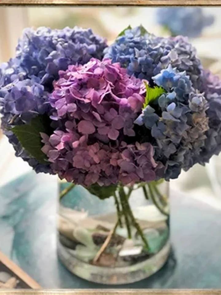 Hortensia 2214 pour la vente par Jill Mason Art