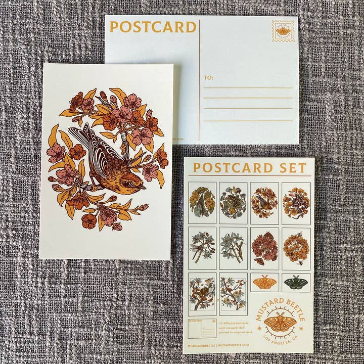 Mustard Beetle - Wholesale Postcard Set - Postcard Set