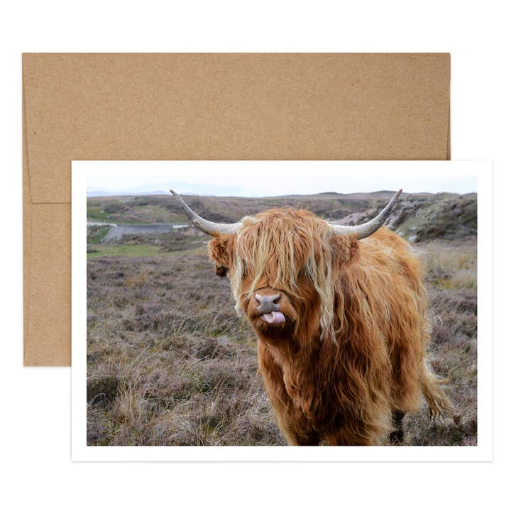 Anniversaire troupeau pour la vente par Salty Dog Publishing