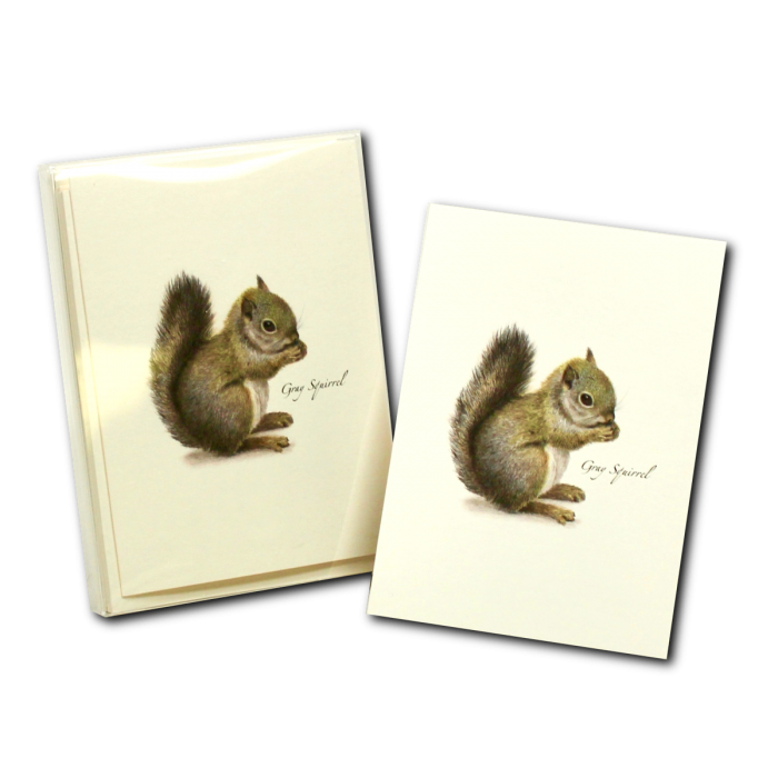Earth Sky + Water - Wholesale Stationery/Notecard Set - Gray Squirrel2