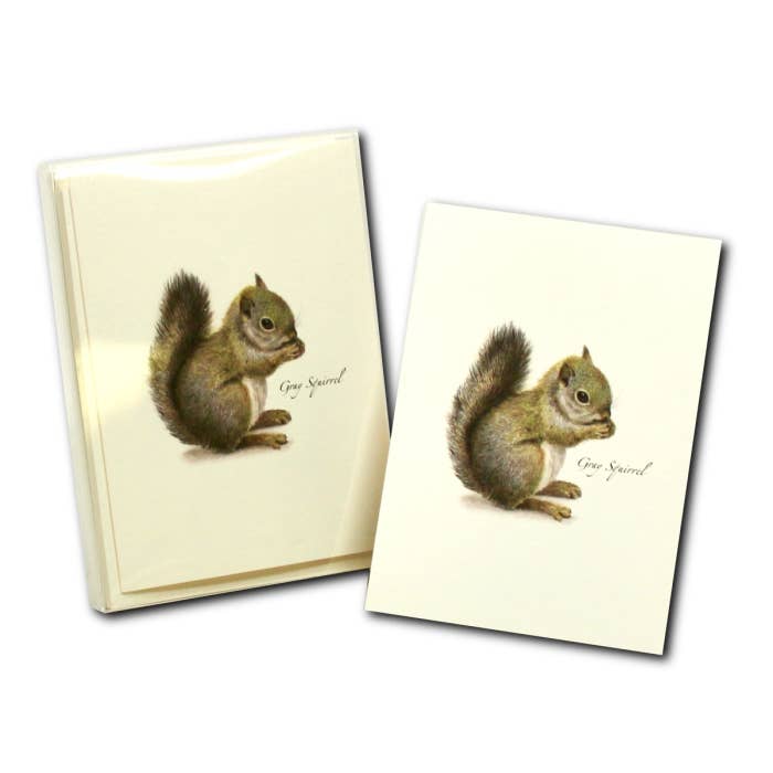 Earth Sky + Water - Wholesale Stationery/Notecard Set - Gray Squirrel2