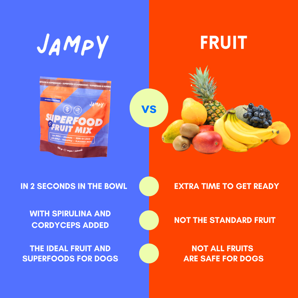 JAMPY - Wholesale Pet Supplement - Cat/Dog - Superfood Fruit Mix - 100% Natural Vitamin Powder for Dogs6