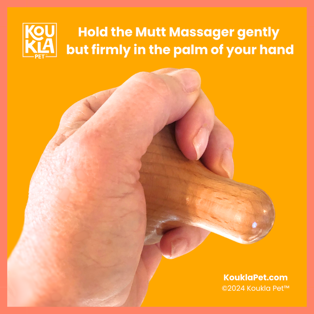 Koukla Pet™ - Wholesale Pet Supplement - Dog - Bow Wow Bliss® Mutt Massager Doggy Relaxation Kit 3