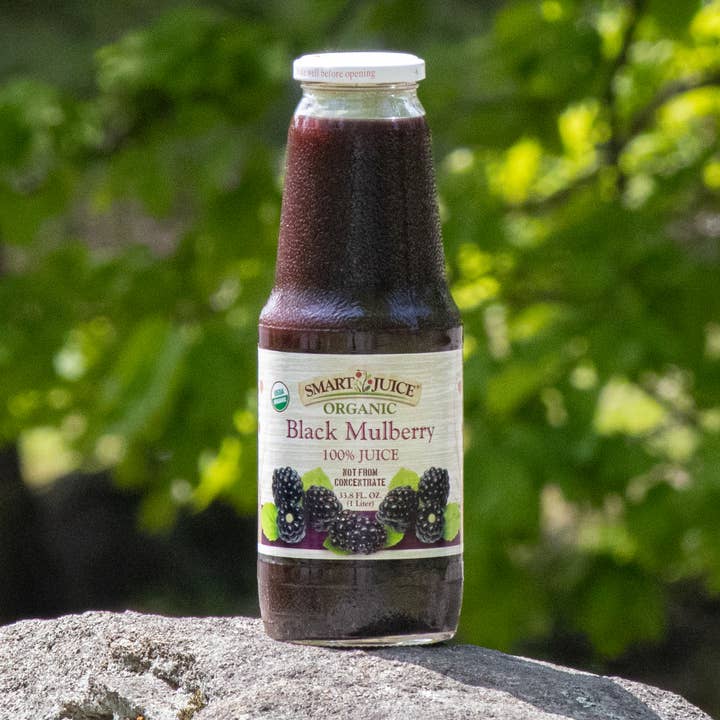 Smart Juice - Wholesale Fruit Juice - Organic Black Mulberry Juice