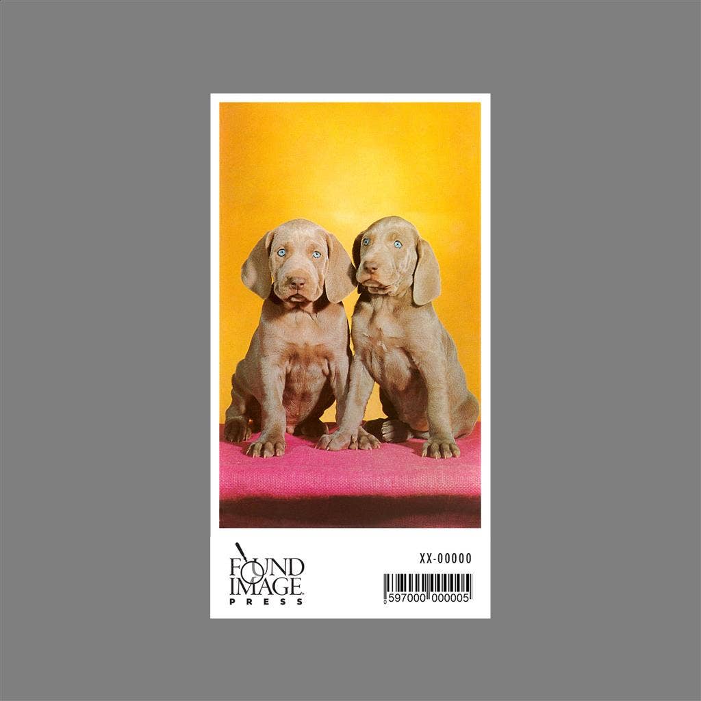 Found Image Press - Wholesale Sticker - Sticker NP-410 Weimaraner Puppies1